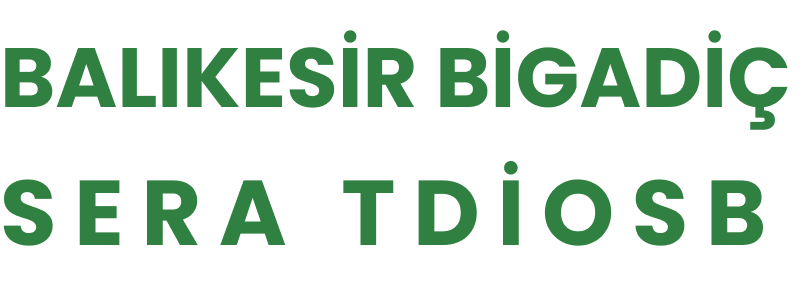 BALıKESIR BIGADIç JEOTERMAL KAYNAKLı SERA TARıMA DAYALı İHTISAS ORGANIZE SANAYI BöLGESI